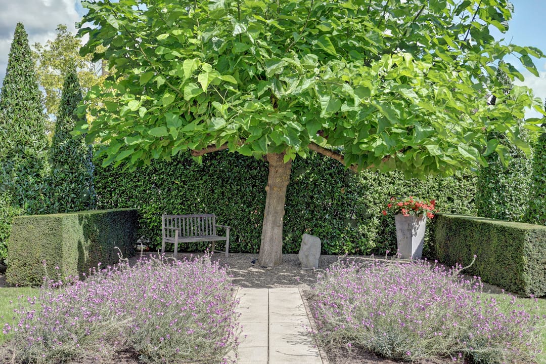 Photo 37 of Westweg 38-A