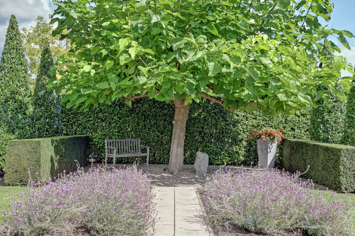 Foto 37 van Westweg 38-A