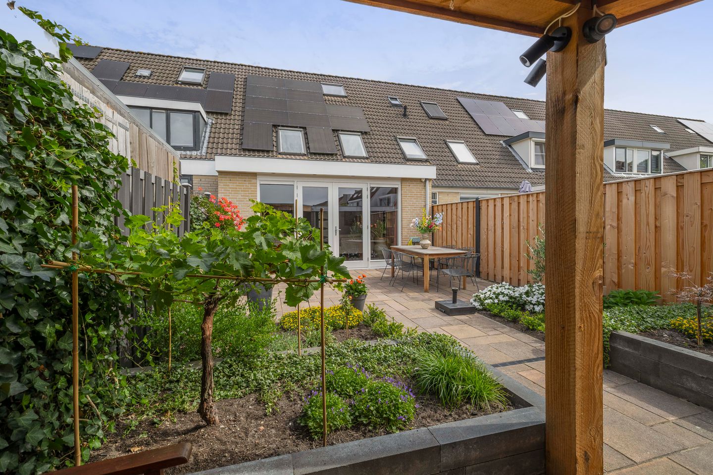 Foto 14 van Sleutelbloem 11