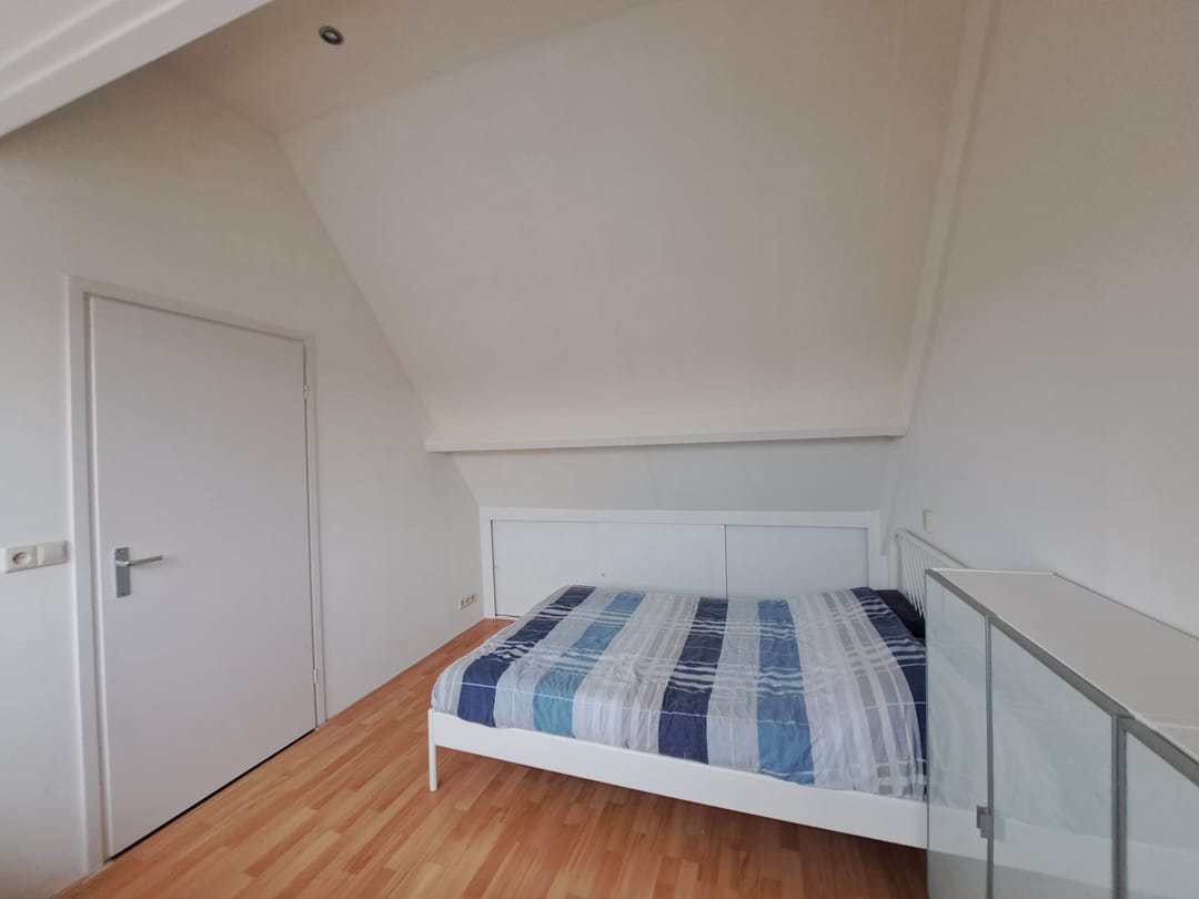 Foto 23 van Sleutelbloem 11