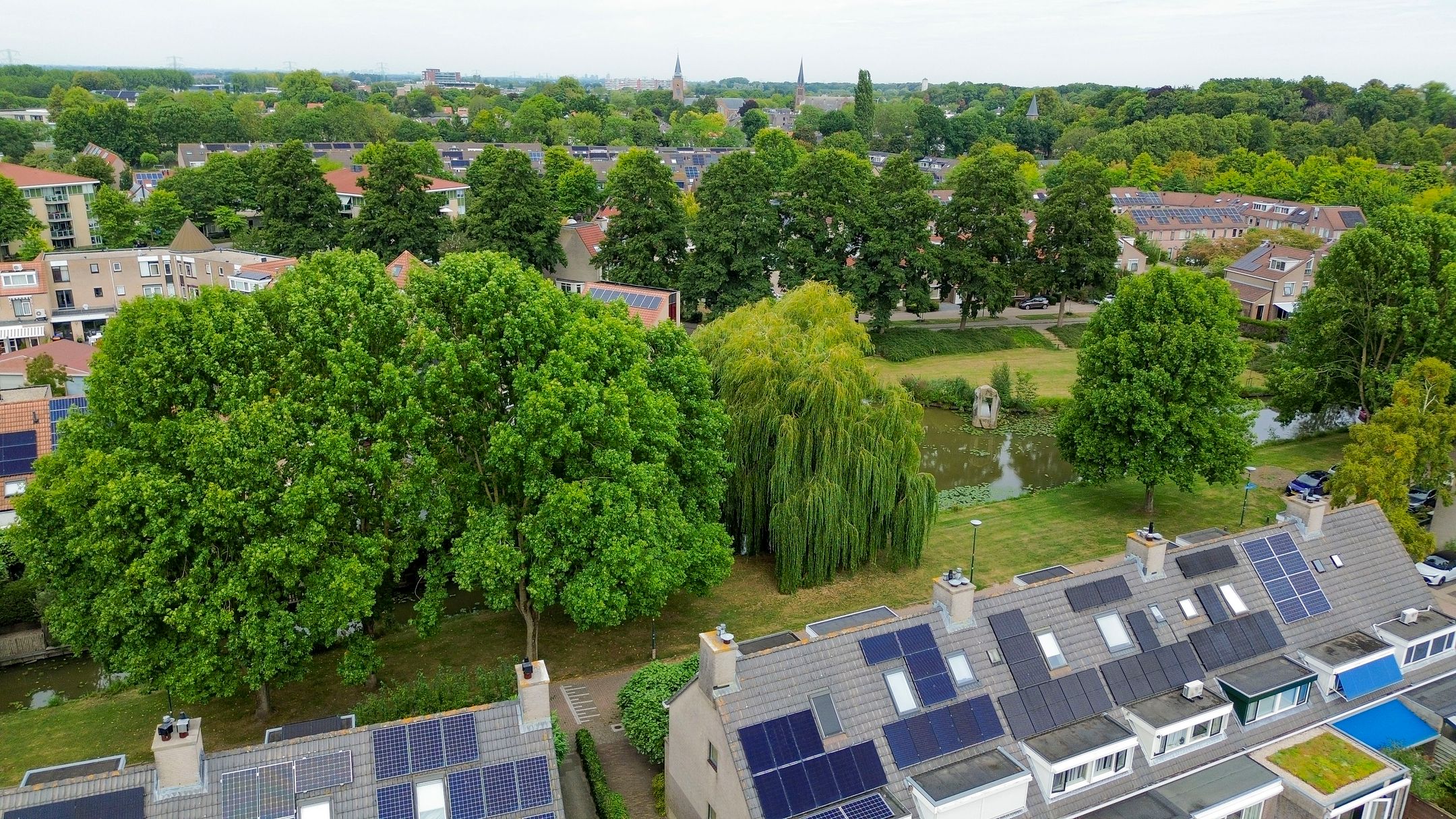 Foto 24 van Sleutelbloem 11