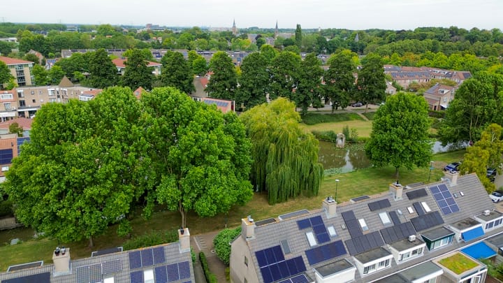 Photo 24 of Sleutelbloem 11