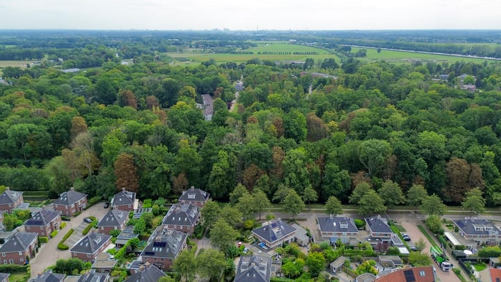 Photo 25 of Sleutelbloem 11