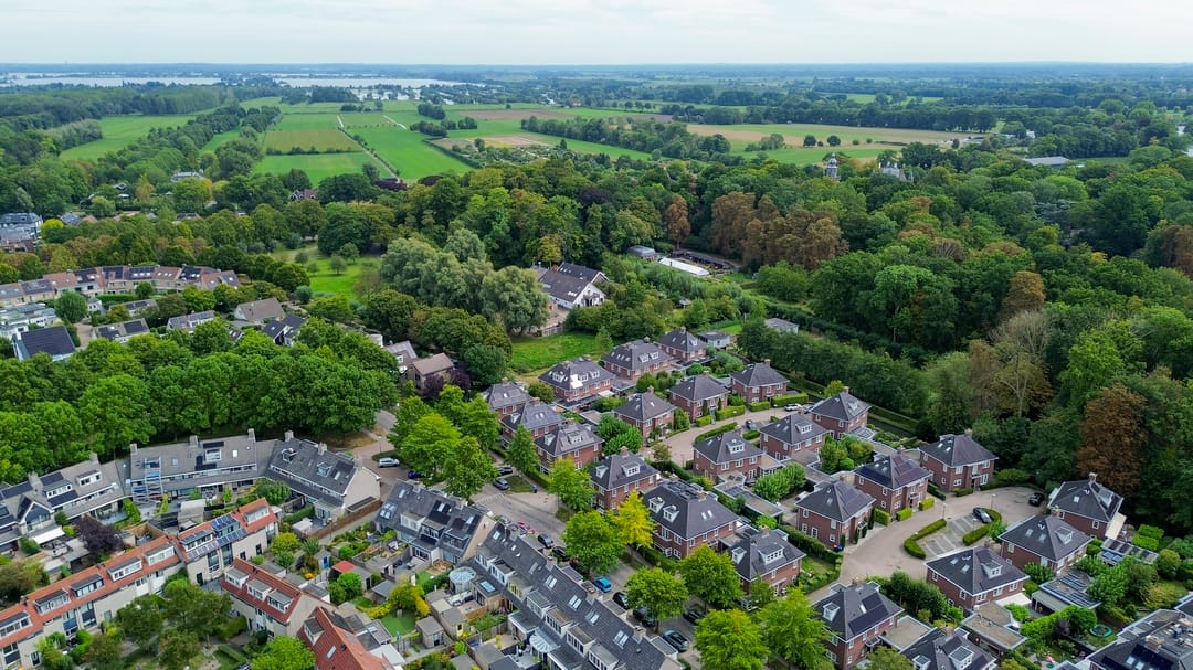 Foto 26 van Sleutelbloem 11