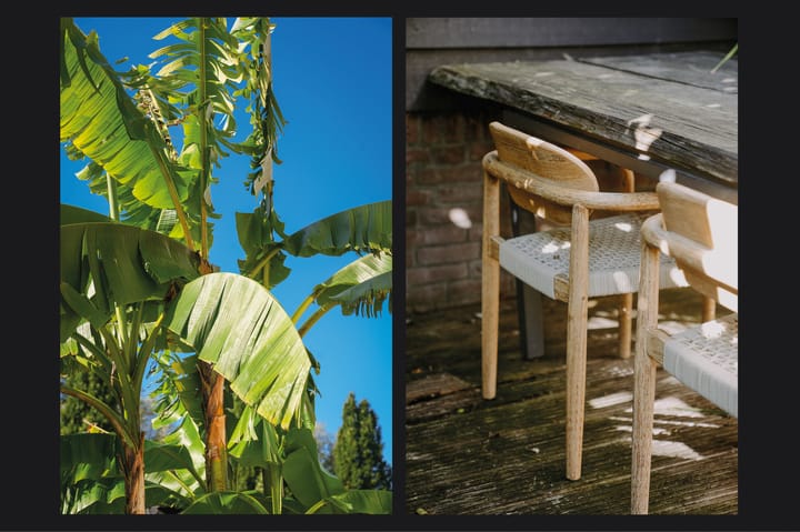 Foto 43 van Vlasven 153