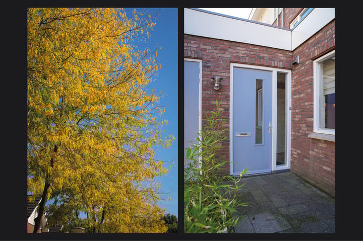 Foto 44 van Vlasven 153