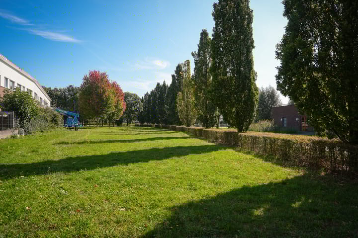 Foto 48 van Vlasven 153