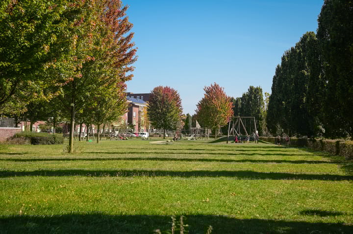 Foto 51 van Vlasven 153