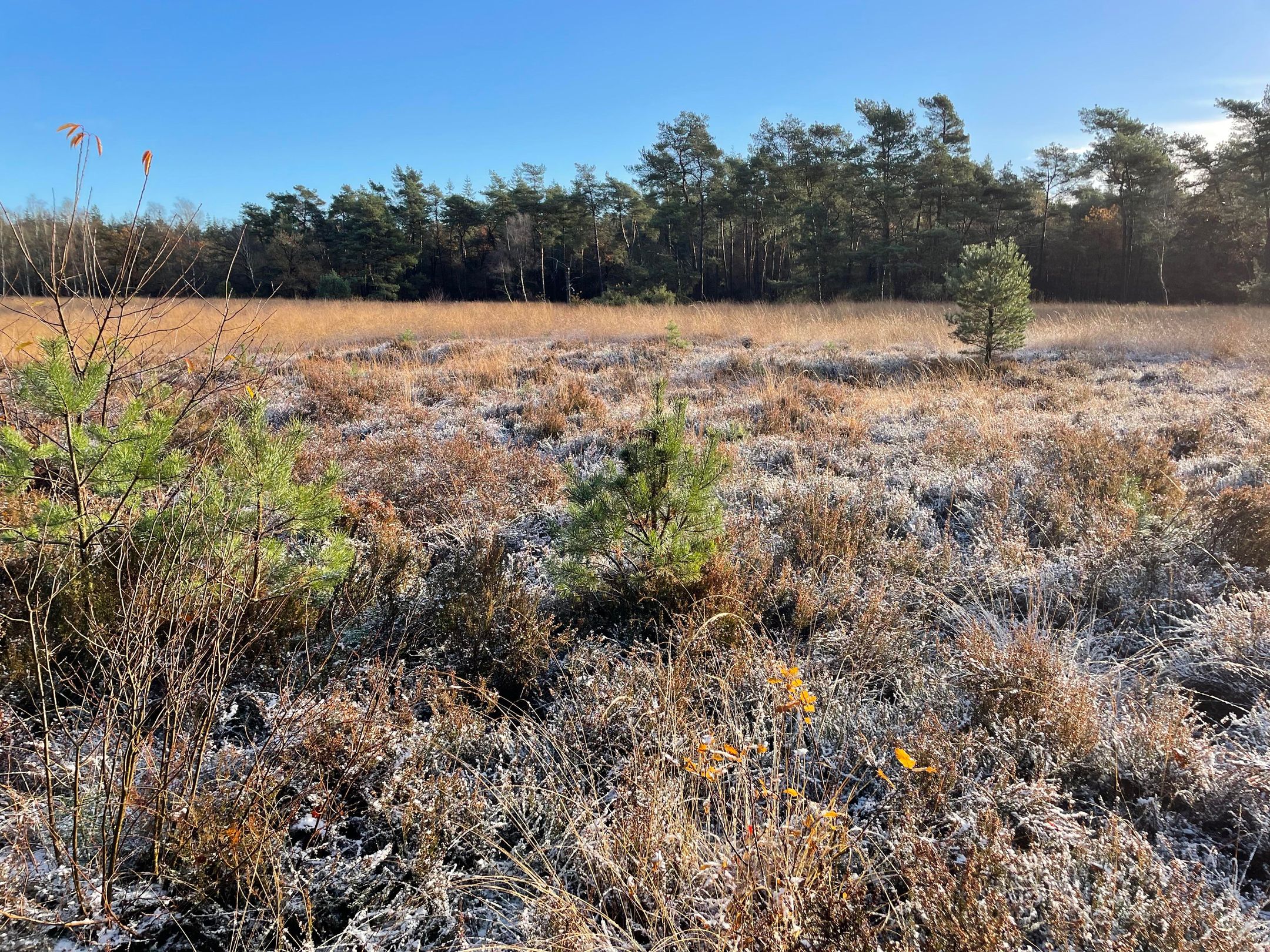 Foto 60 van Zuiderzeestraatweg West 146