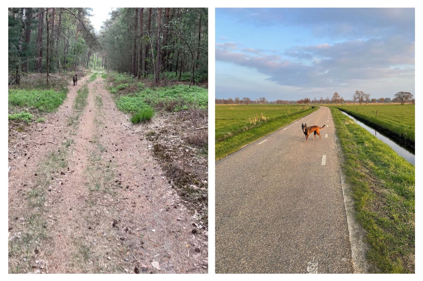 Foto 64 van Zuiderzeestraatweg West 146