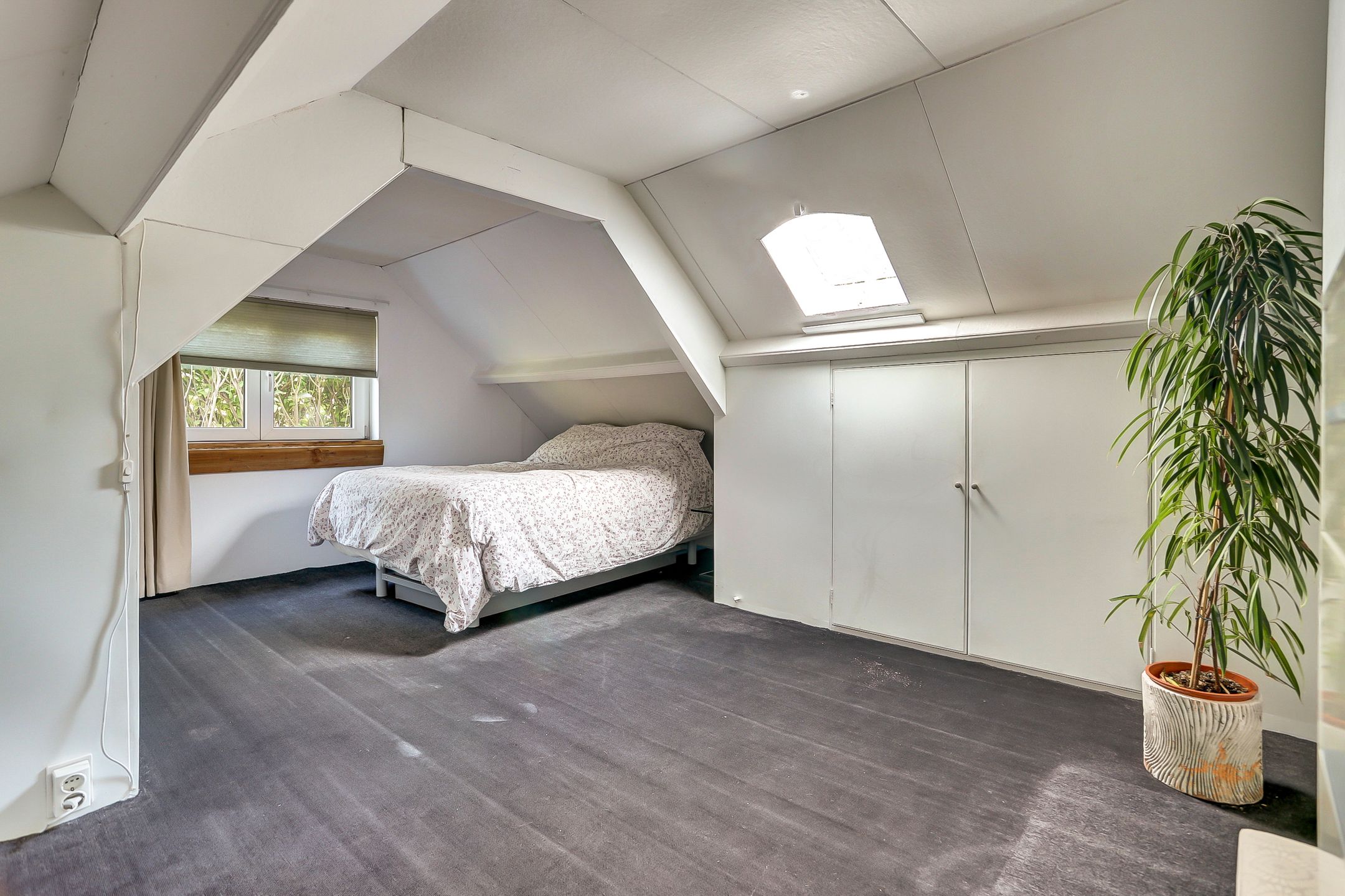 Photo 24 of Zwanesteeg 6