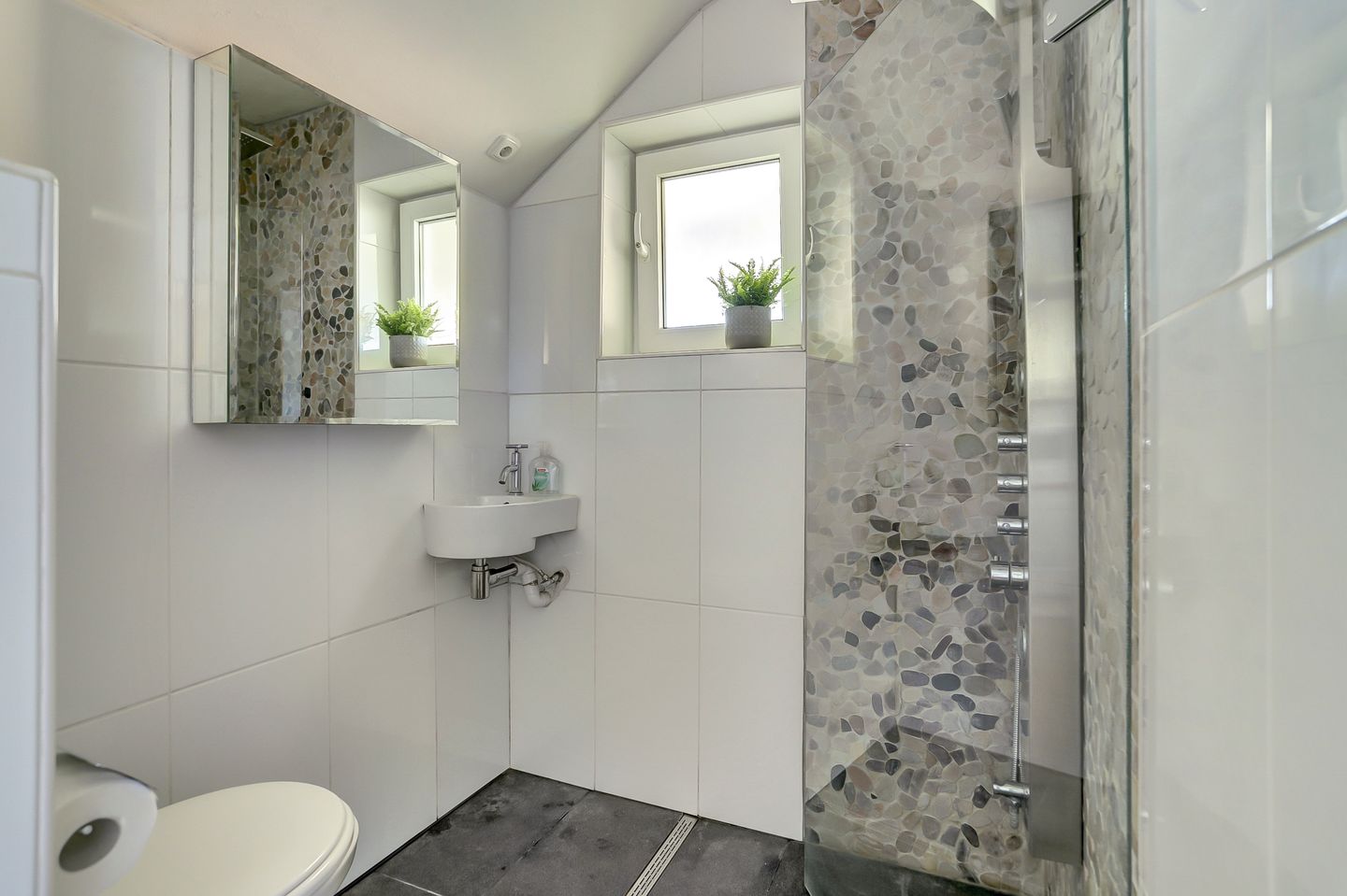 Photo 20 of Zwanesteeg 6