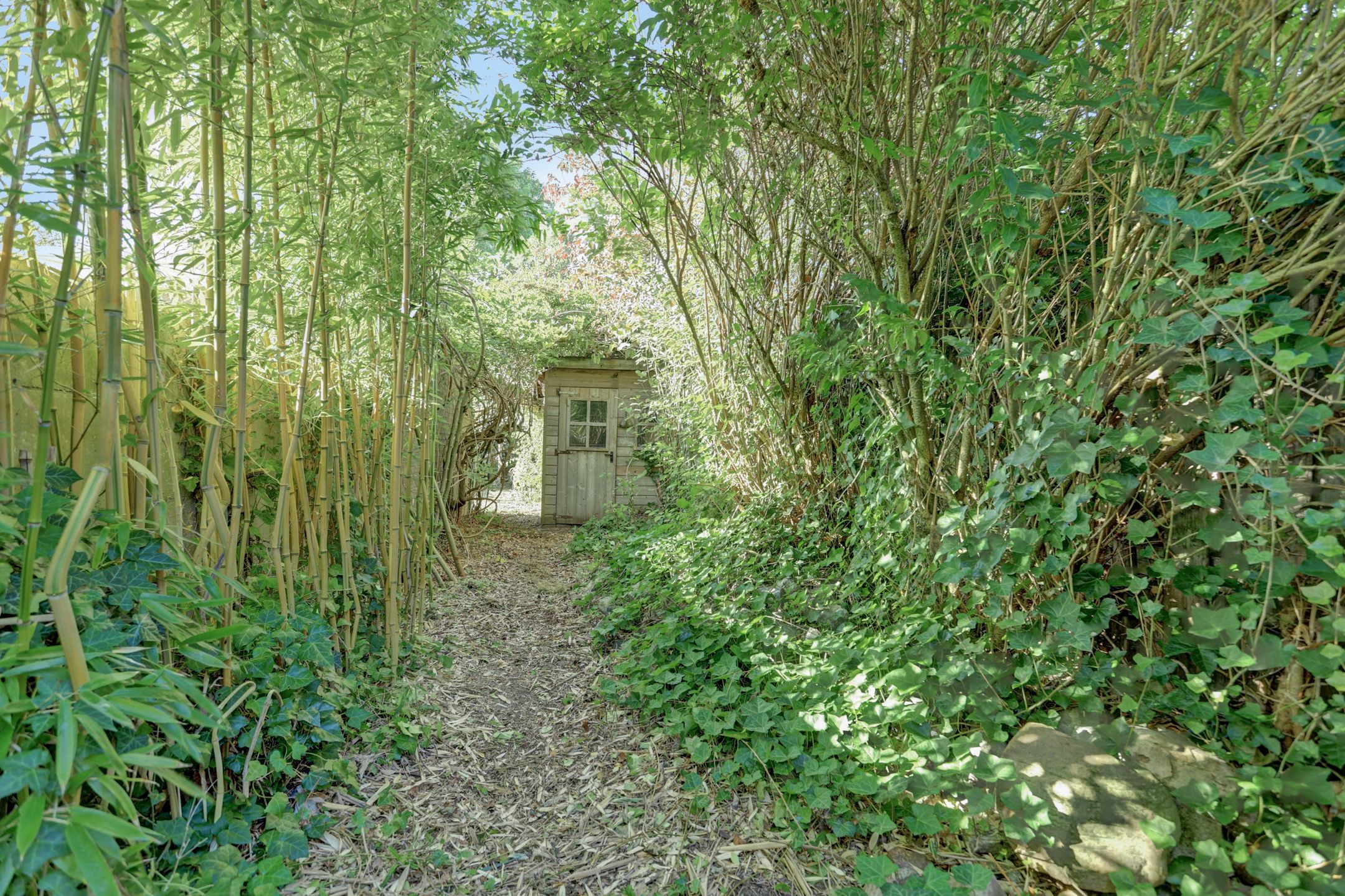 Photo 30 of Zwanesteeg 6