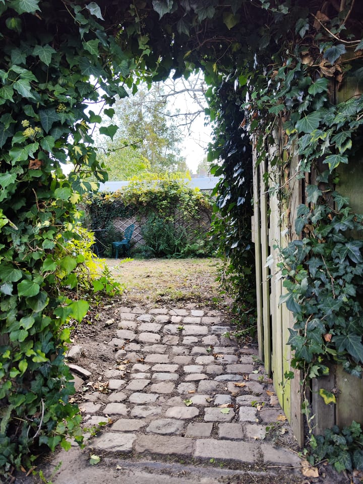 Foto 35 van Zwanesteeg 6