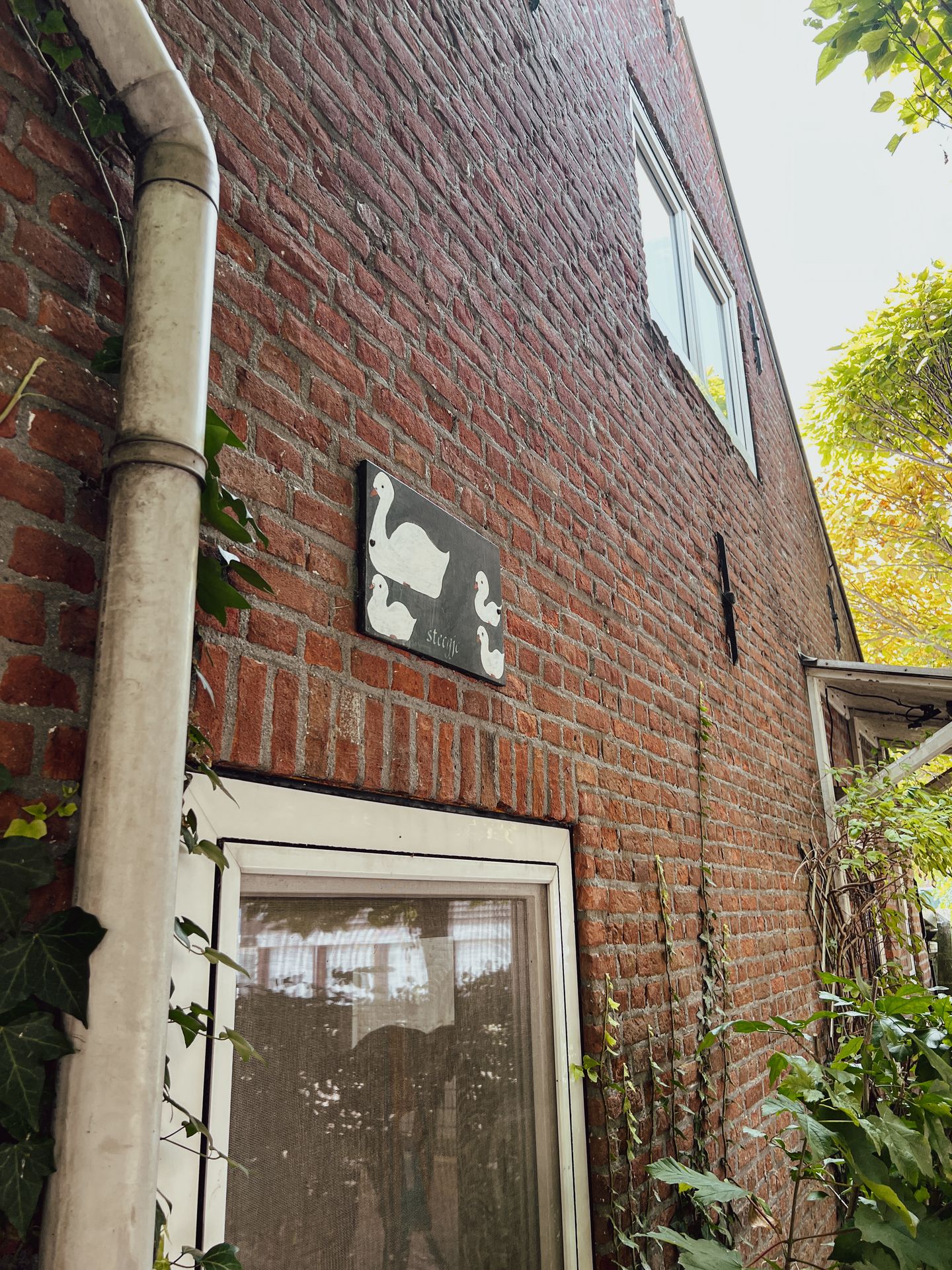 Photo 5 of Zwanesteeg 6