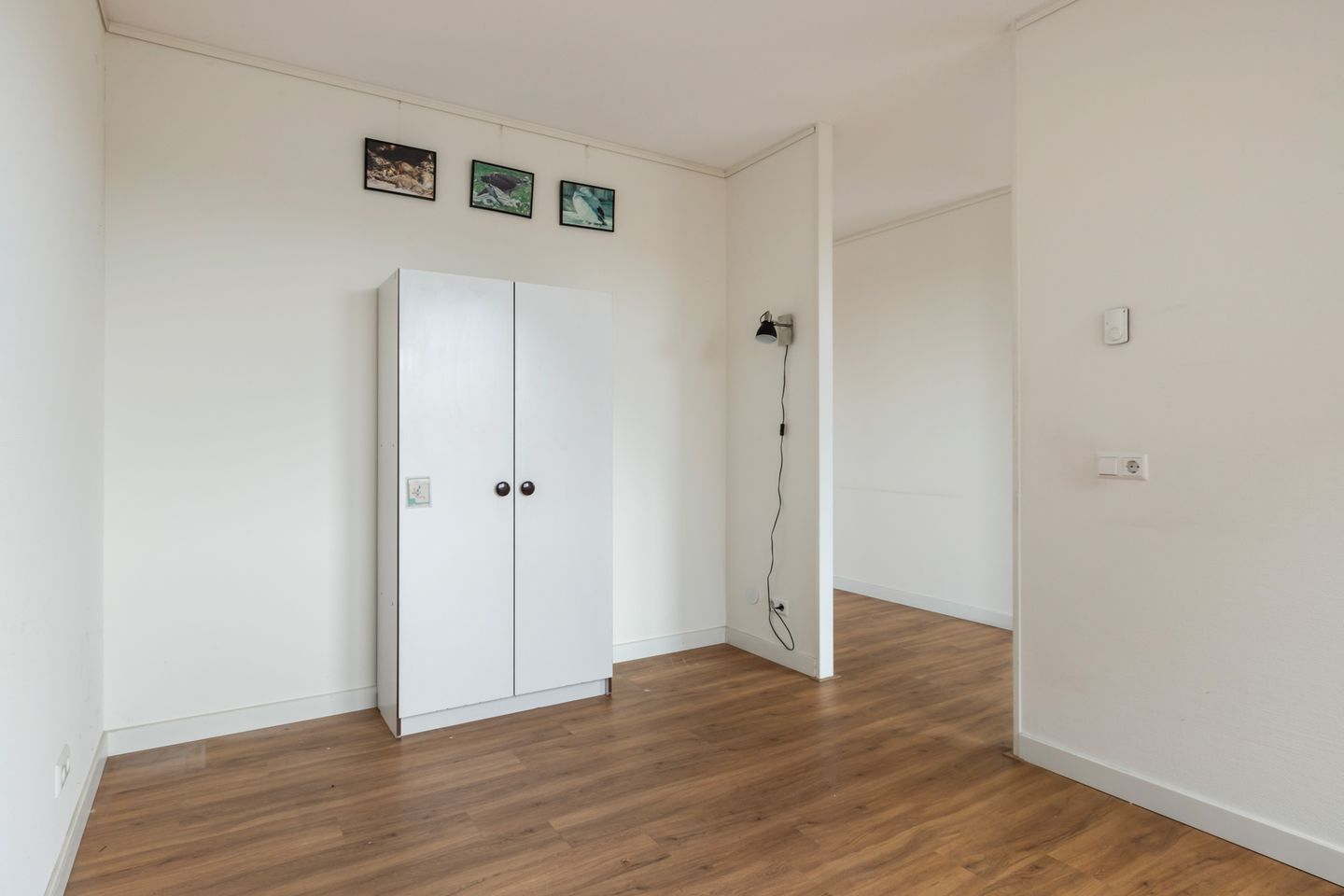 Foto 10 van Poelruit 22