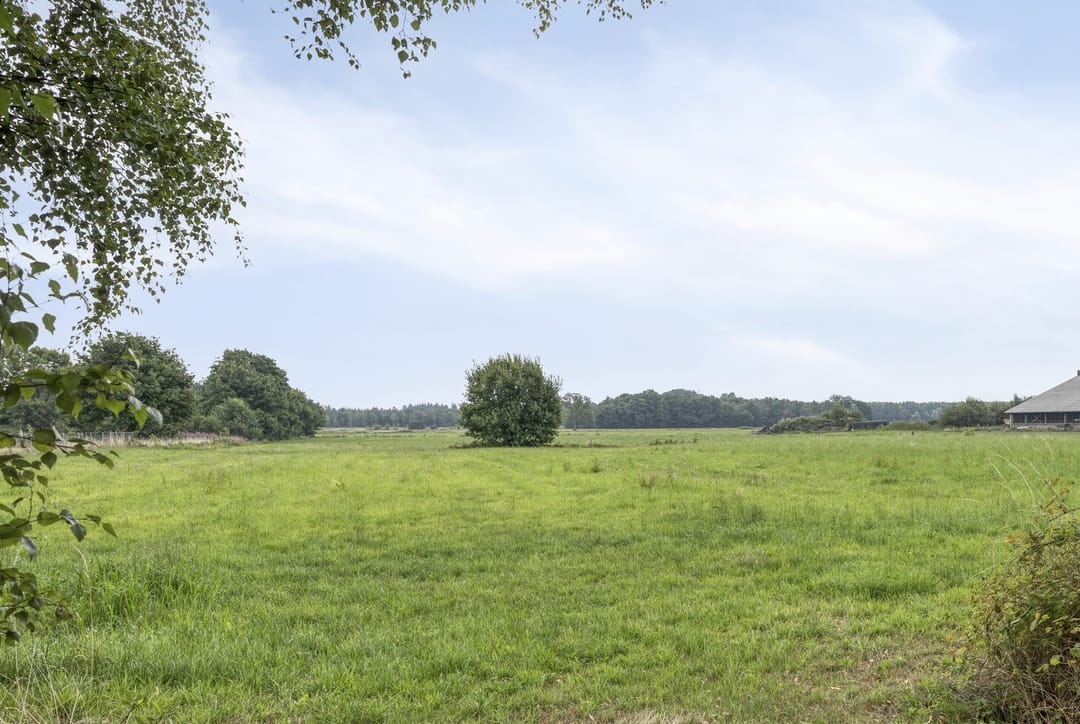 Foto 43 van Loveren 6