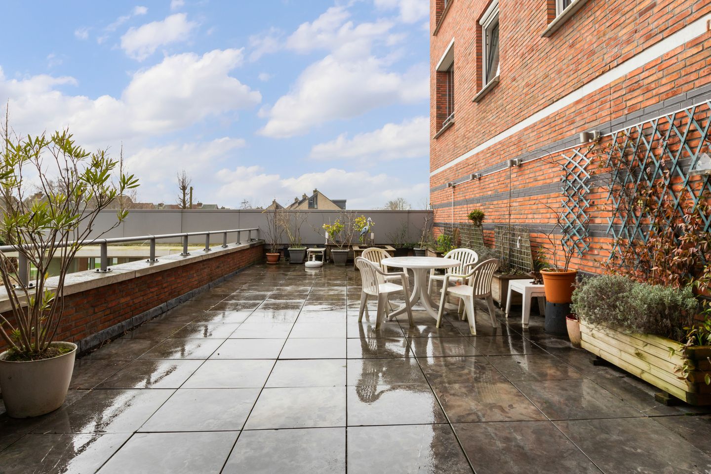 Foto 25 van Poelruit 22