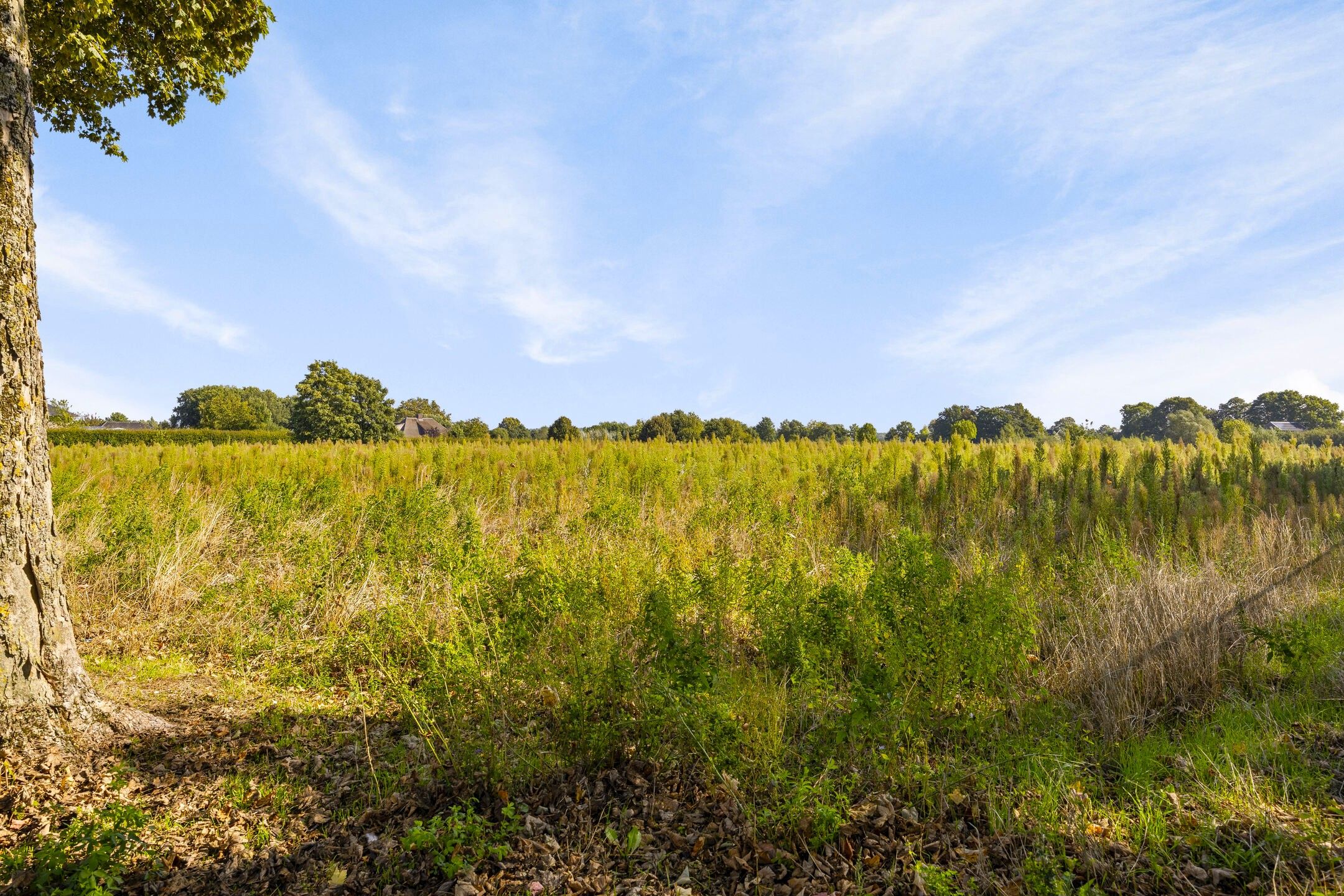 Foto 36 van Putterstraat 36