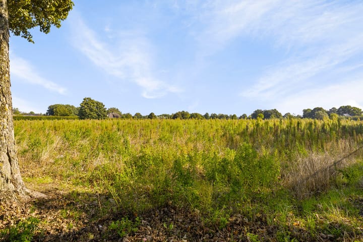 Foto 36 van Putterstraat 36