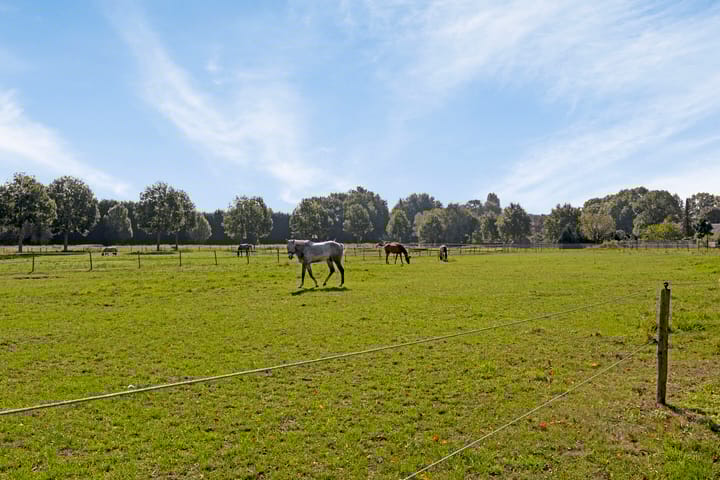 Foto 37 van Putterstraat 36