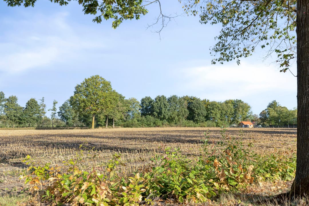 Foto 43 van Hoogemierdseweg 33