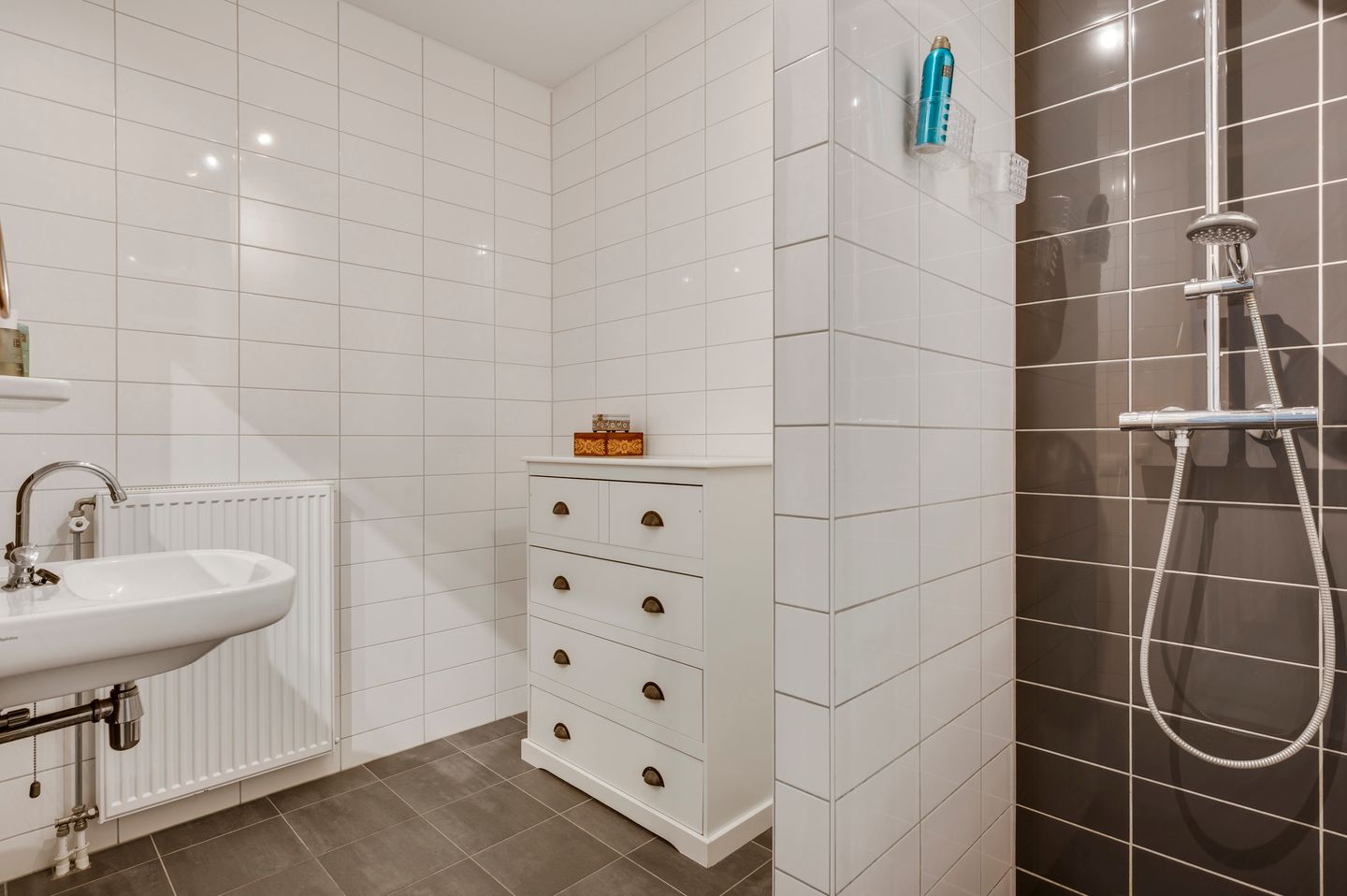 Foto 19 van Maria Theresiastraat 13