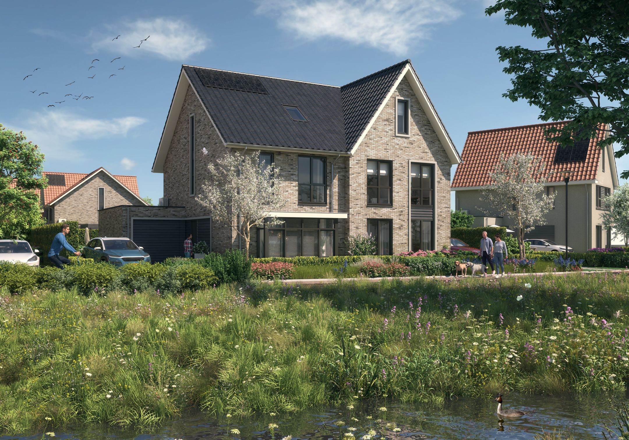 Photo 6 of Tholen, De Wieken