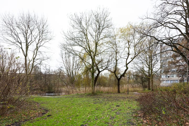 Photo 24 of Laan van Berlijn 116