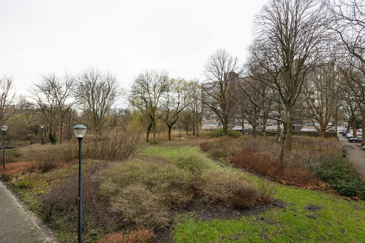 Photo 13 of Laan van Berlijn 116