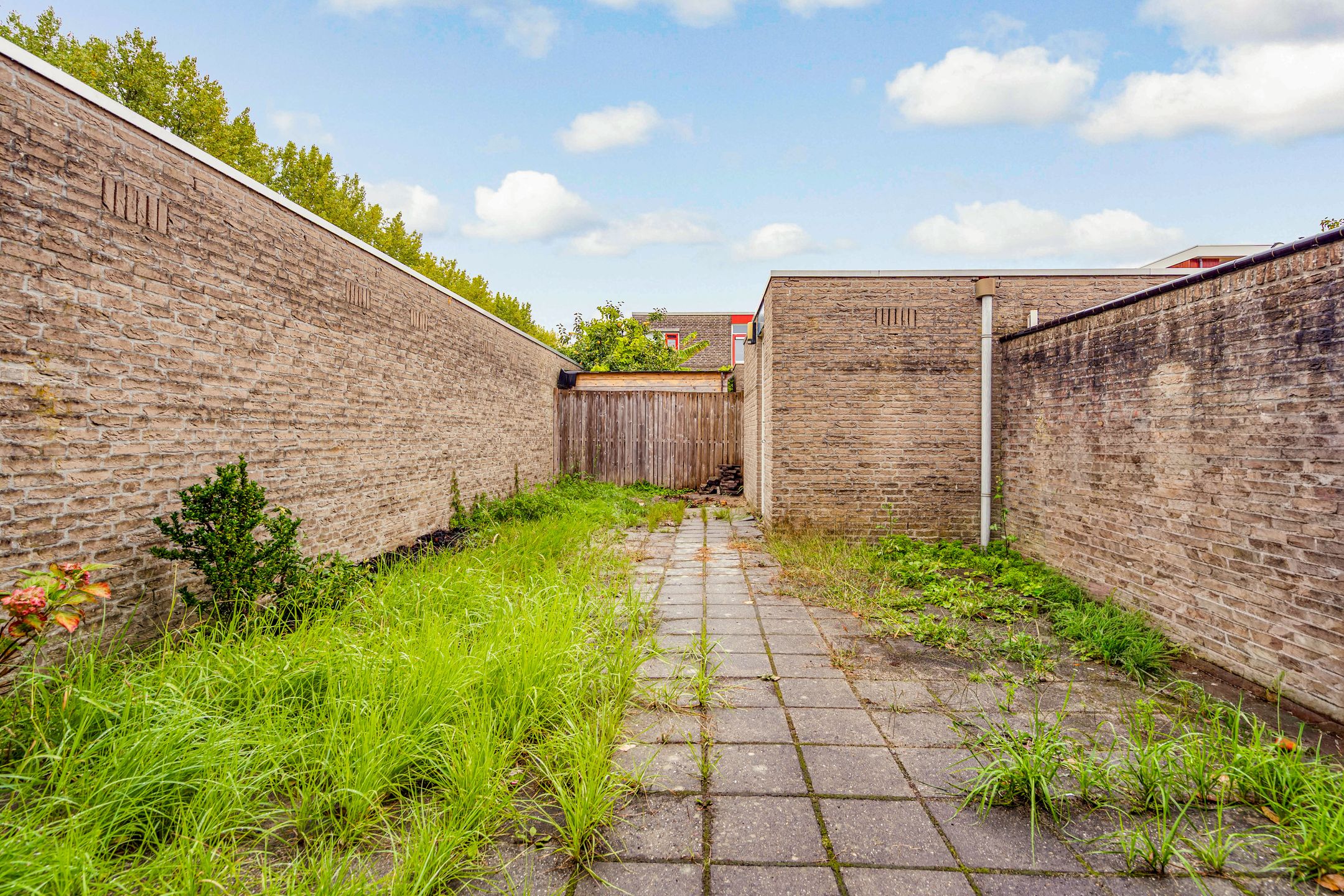 Foto 30 van Wenenpad 16