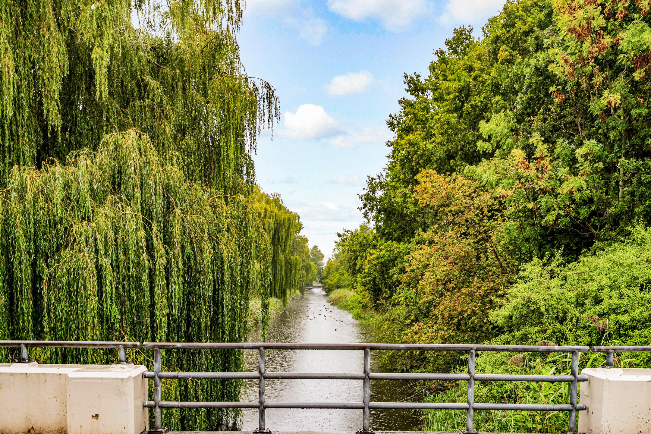 Foto 39 van Wenenpad 16