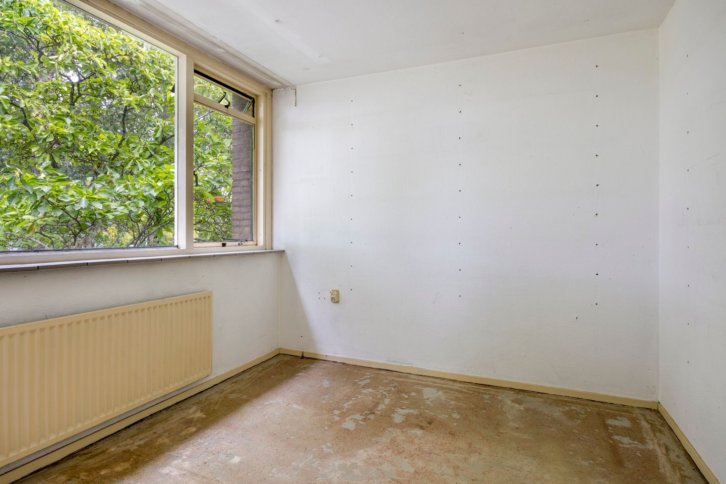 Photo 20 of Bisschop Zwijsenplein 3