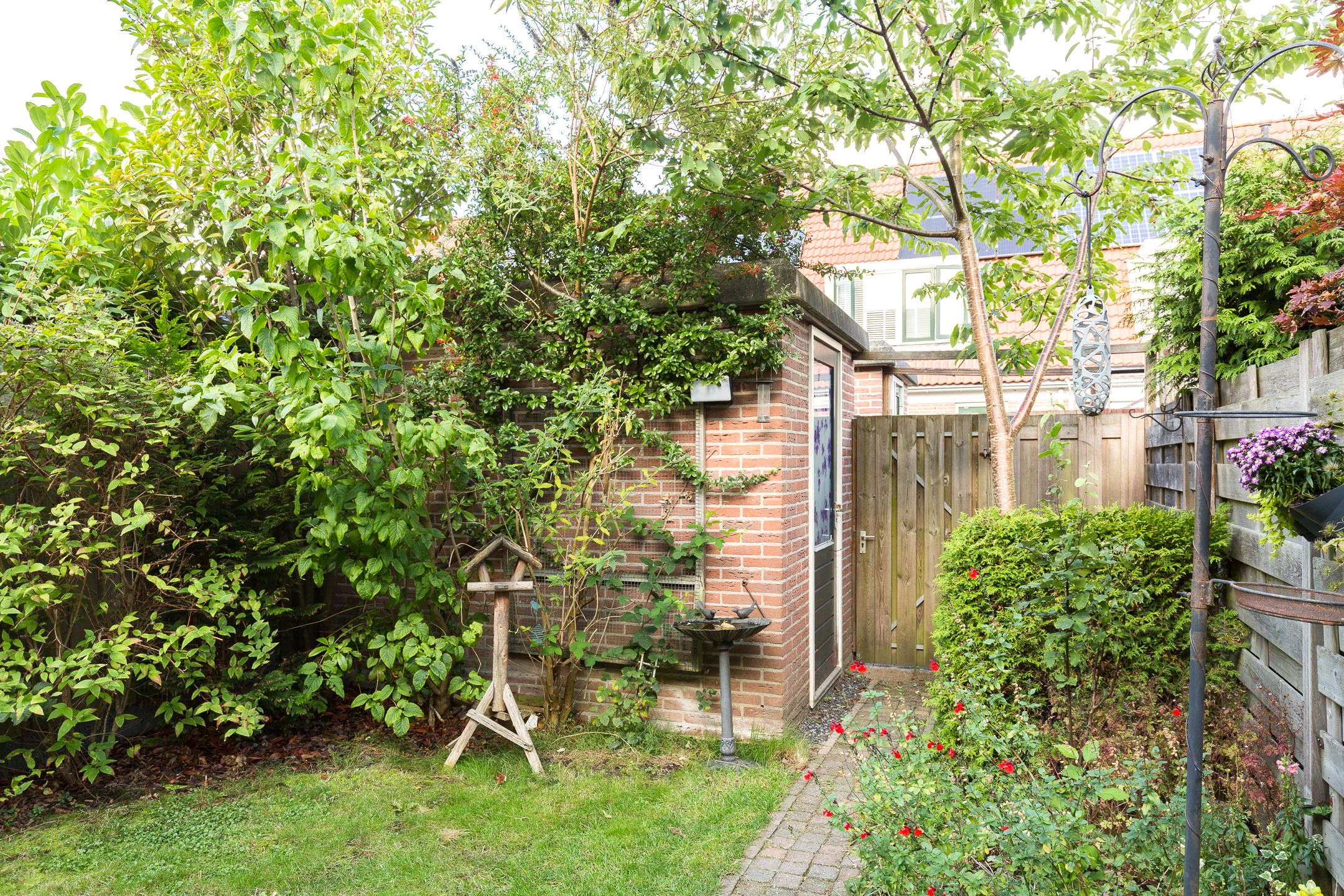 Foto 36 van Korhoen 36