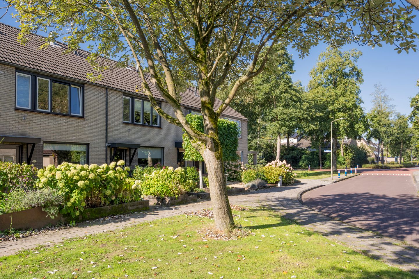 Foto 35 van Reigerlaan 19