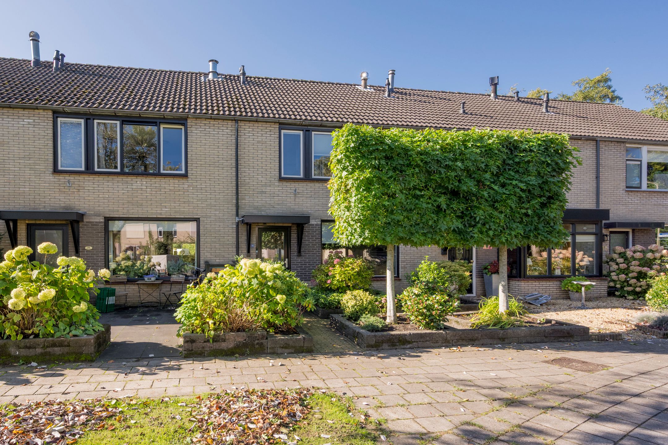 Foto 36 van Reigerlaan 19