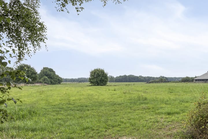 Foto 26 van Loveren 6