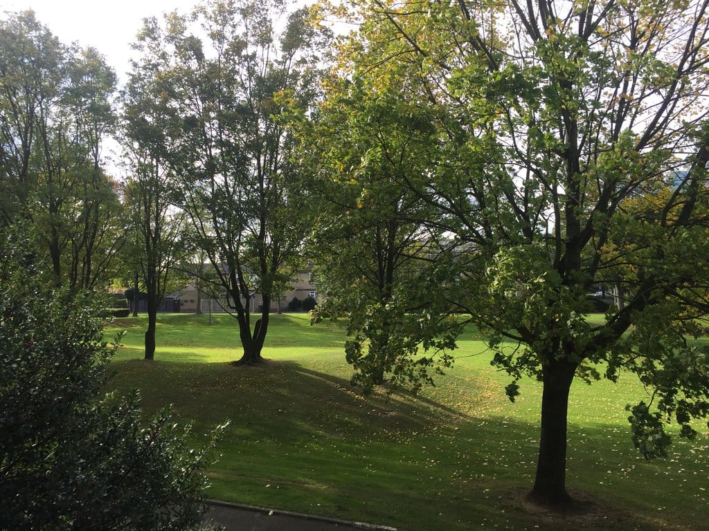 Photo 6 of Florence Nightingalestraat 105