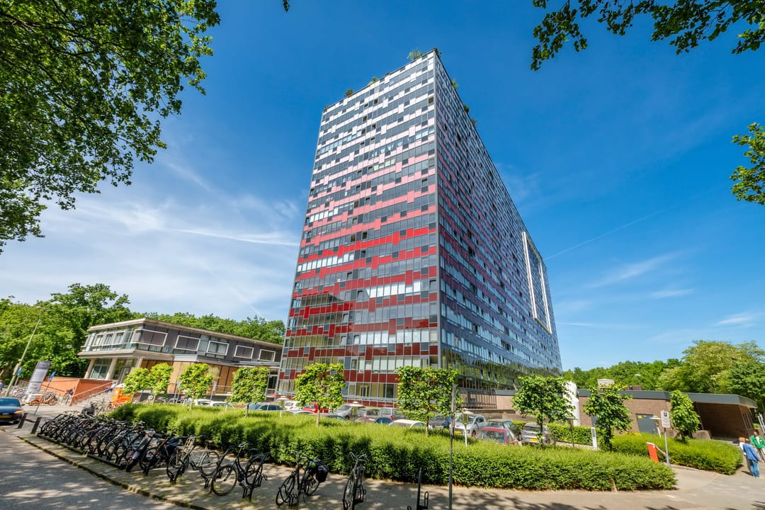 Foto 2 van Laan van Vollenhove 614-BIS