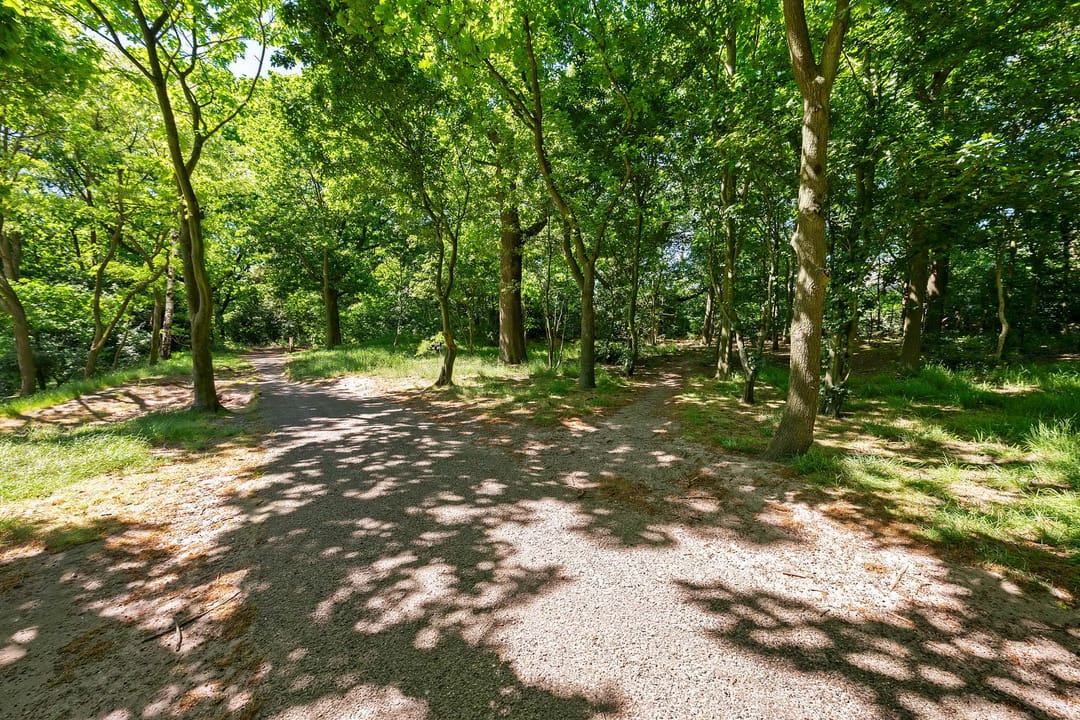 Foto 28 van Laan van Vollenhove 614-BIS