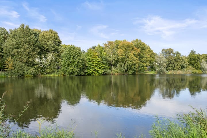 Foto 5 van Jan Frankenstraat 44