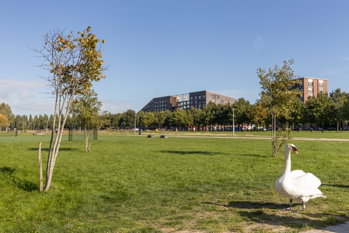 Foto 52 van Rudolf Kattnigghof 9