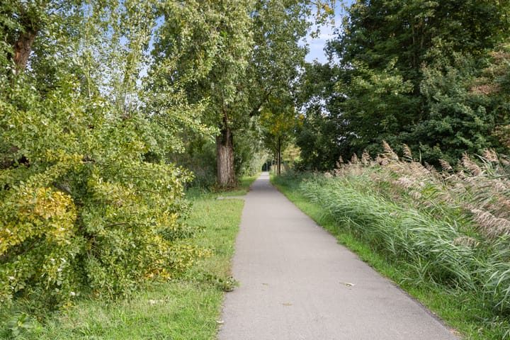 Foto 32 van Jan Frankenstraat 44