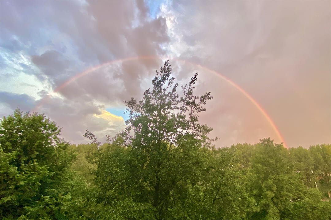 Foto 17 van Wittgensteinlaan 117