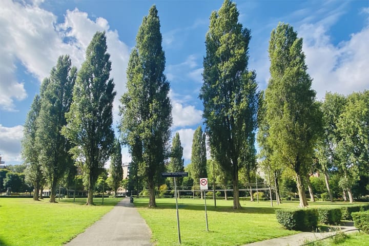 Foto 40 van Wittgensteinlaan 117