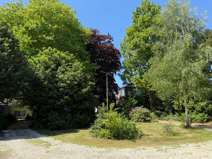 Foto 6 van Hoge Rijndijk 316-A