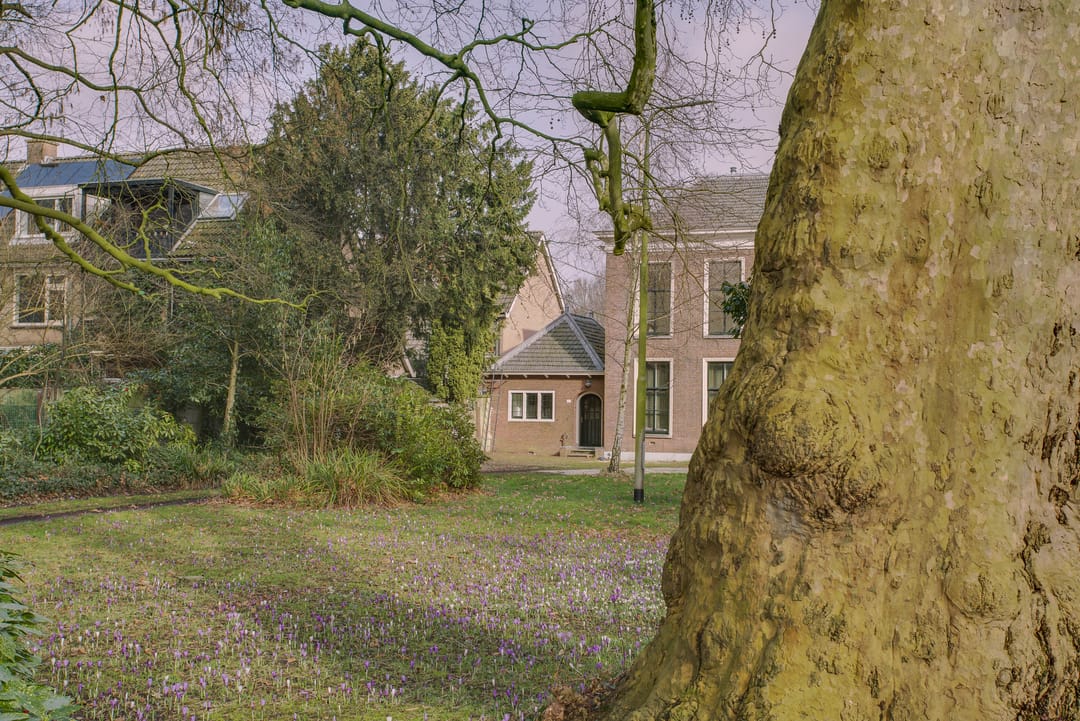 Foto 7 van Hoge Rijndijk 316-A