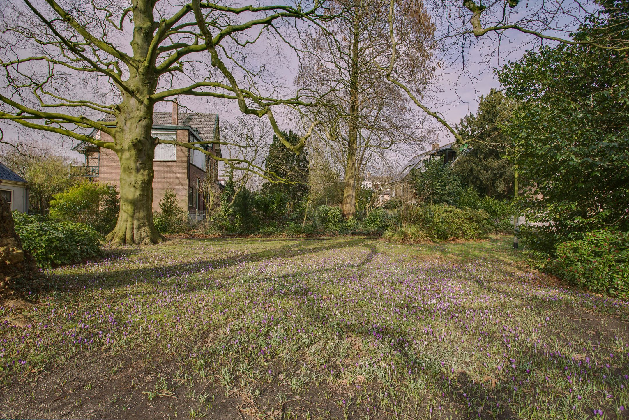 Foto 45 van Hoge Rijndijk 316-A