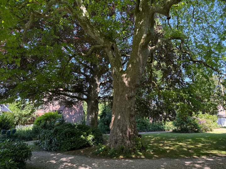 Foto 48 van Hoge Rijndijk 316-A