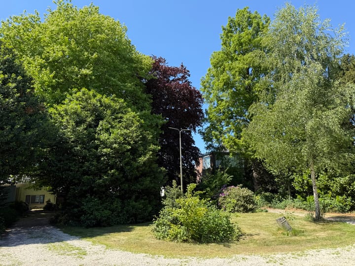 Foto 51 van Hoge Rijndijk 316-A